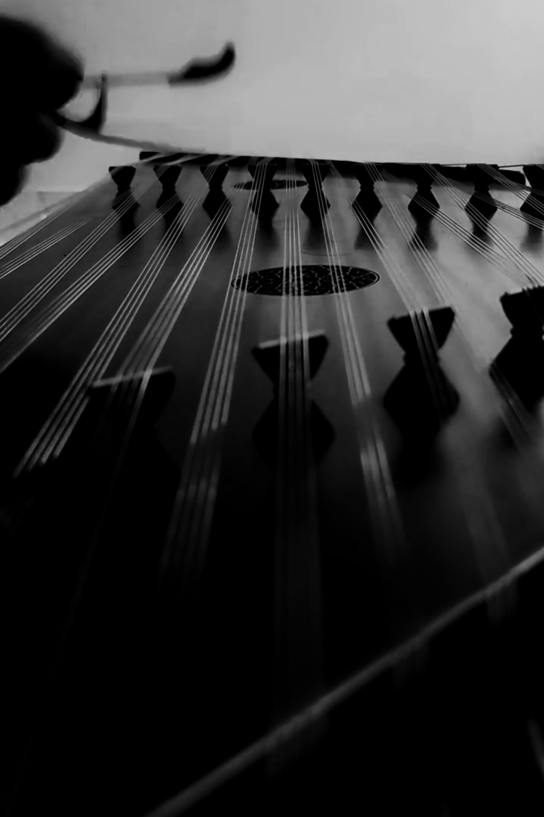 Arian Fallah — santoor